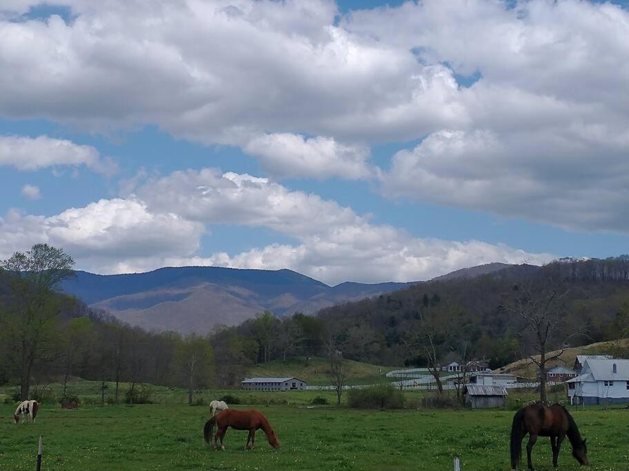 Country Mountain Escape! Villa Barnardsville Exterior photo